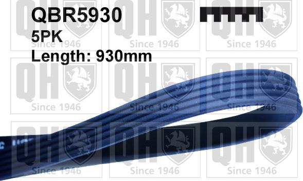 Quinton Hazell QBR5930 - V-Ribbed Belt car-mod.net