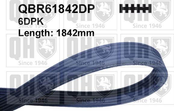 Quinton Hazell QBR61842DP - V-Ribbed Belt car-mod.net