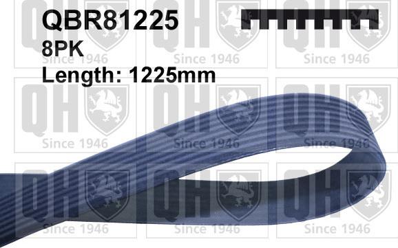 Quinton Hazell QBR81225 - V-Ribbed Belt car-mod.net