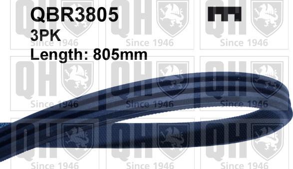 Quinton Hazell QBR3805 - V-Ribbed Belt car-mod.net