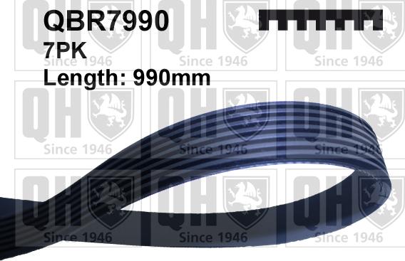 Quinton Hazell QBR7990 - V-Ribbed Belt car-mod.net