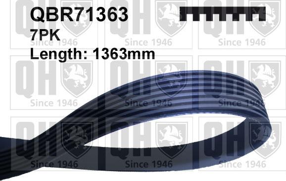 Quinton Hazell QBR71363 - V-Ribbed Belt car-mod.net