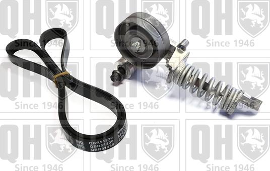 Quinton Hazell QDK118 - V-Ribbed Belt Set car-mod.net