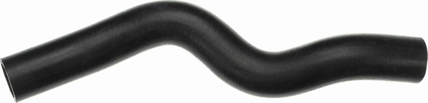Rapro R41224 - Radiator Hose car-mod.net