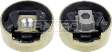 Rapro R54635 - Holder, engine mounting car-mod.net