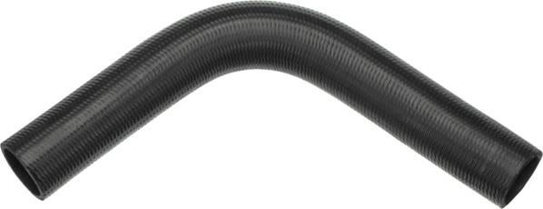 Rapro R191023 - Radiator Hose car-mod.net