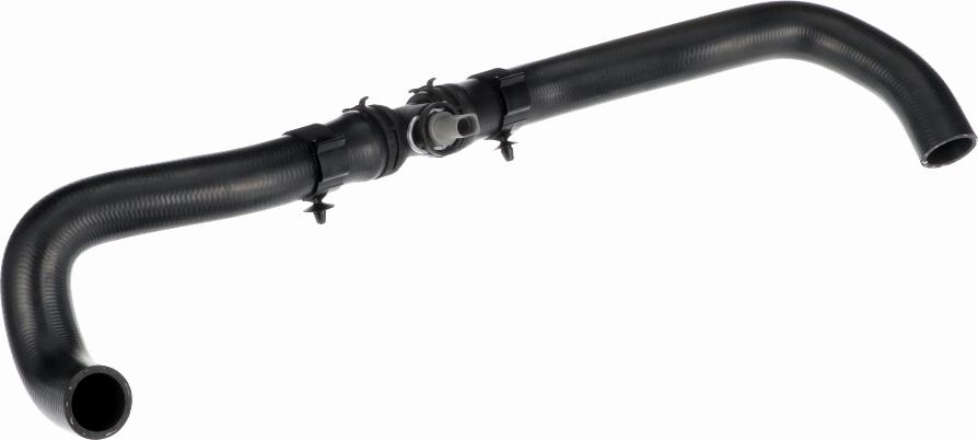 Rapro R251117 - Radiator Hose car-mod.net