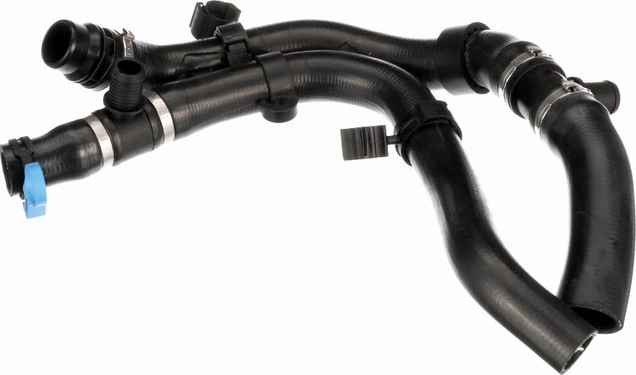 Rapro R251123 - Radiator Hose car-mod.net