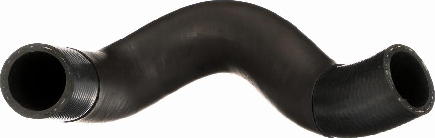 Rapro R251235 - Radiator Hose car-mod.net