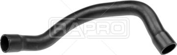 Rapro R25884 - Radiator Hose car-mod.net