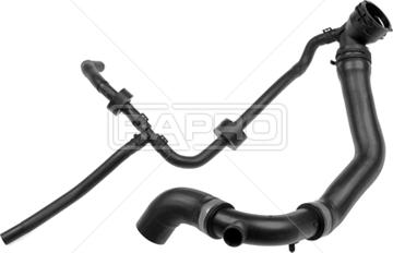 Rapro R25881 - Radiator Hose car-mod.net