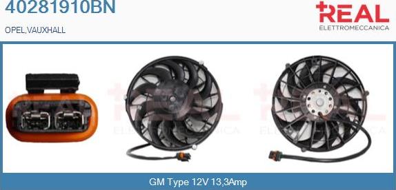 REAL 40281910BN - Electric Motor, radiator fan car-mod.net