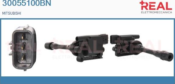 REAL 30055100BN - Ignition Coil car-mod.net