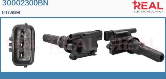 REAL 30002300BN - Ignition Coil car-mod.net