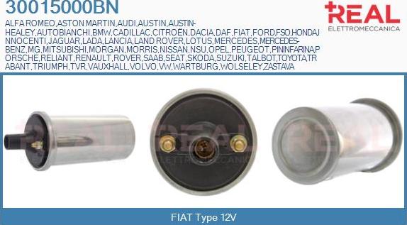 REAL 30015000BN - Ignition Coil car-mod.net