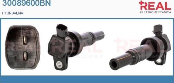 REAL 30089600BN - Ignition Coil car-mod.net