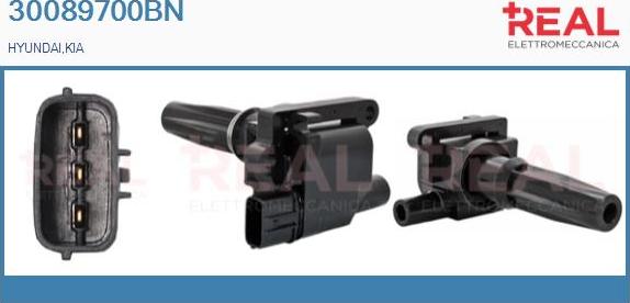 REAL 30089700BN - Ignition Coil car-mod.net