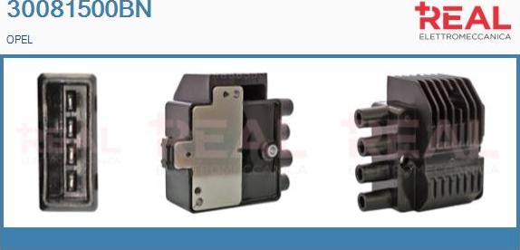 REAL 30081500BN - Ignition Coil car-mod.net