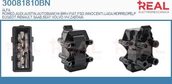REAL 30081810BN - Ignition Coil car-mod.net