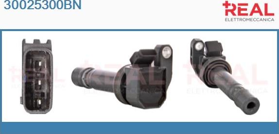 REAL 30025300BN - Ignition Coil car-mod.net