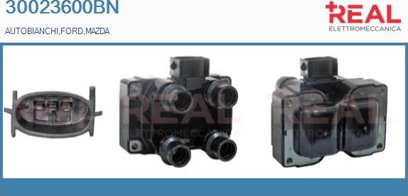 REAL 30023600BN - Ignition Coil car-mod.net
