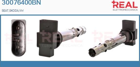 REAL 30076400BN - Ignition Coil car-mod.net