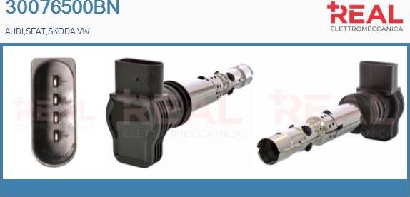 REAL 30076500BN - Ignition Coil car-mod.net