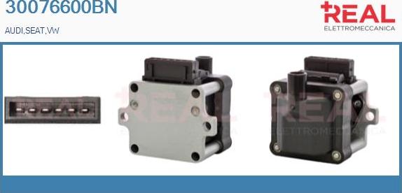 REAL 30076600BN - Ignition Coil car-mod.net