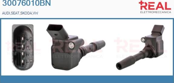 REAL 30076010BN - Ignition Coil car-mod.net