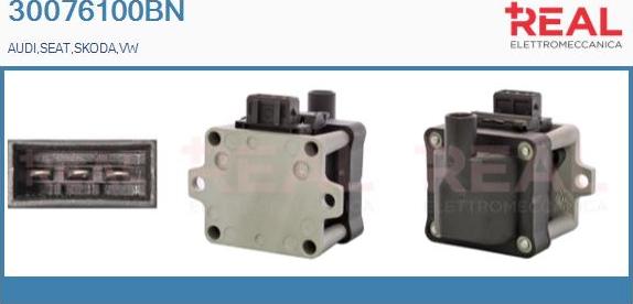 REAL 30076100BN - Ignition Coil car-mod.net