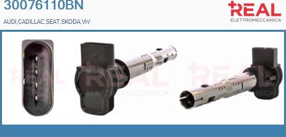 REAL 30076110BN - Ignition Coil car-mod.net