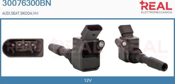 REAL 30076300BN - Ignition Coil car-mod.net