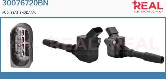 REAL 30076720BN - Ignition Coil car-mod.net