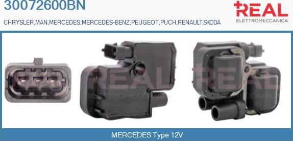 REAL 30072600BN - Ignition Coil car-mod.net