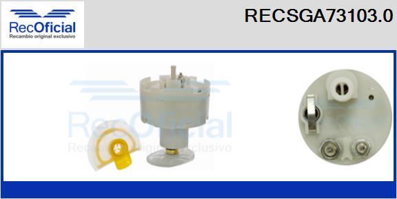 RECOFICIAL RECSGA73103.0 - Fuel Supply Module car-mod.net