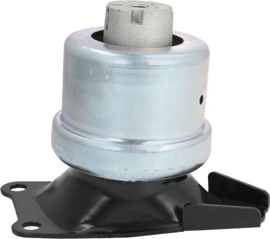 REINHOCH RH11-0059 - Holder, engine mounting car-mod.net