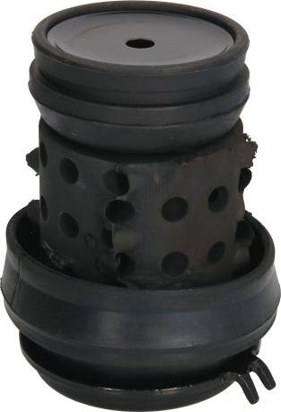 REINHOCH RH11-0014 - Holder, engine mounting car-mod.net