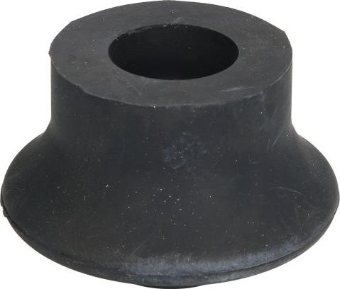 REINHOCH RH11-0015 - Holder, engine mounting car-mod.net