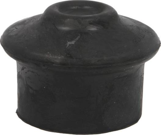 REINHOCH RH11-0038 - Holder, engine mounting car-mod.net