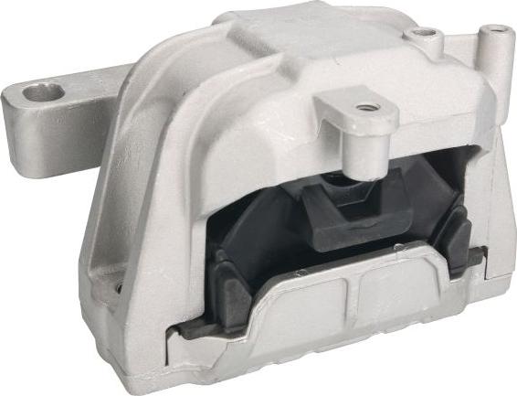 REINHOCH RH11-0033 - Holder, engine mounting car-mod.net