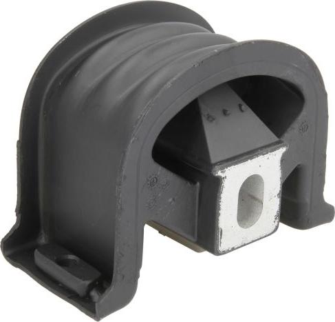 REINHOCH RH11-0103 - Holder, engine mounting car-mod.net