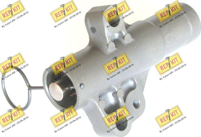 REPKIT RKT3299 - Vibration Damper, timing belt car-mod.net