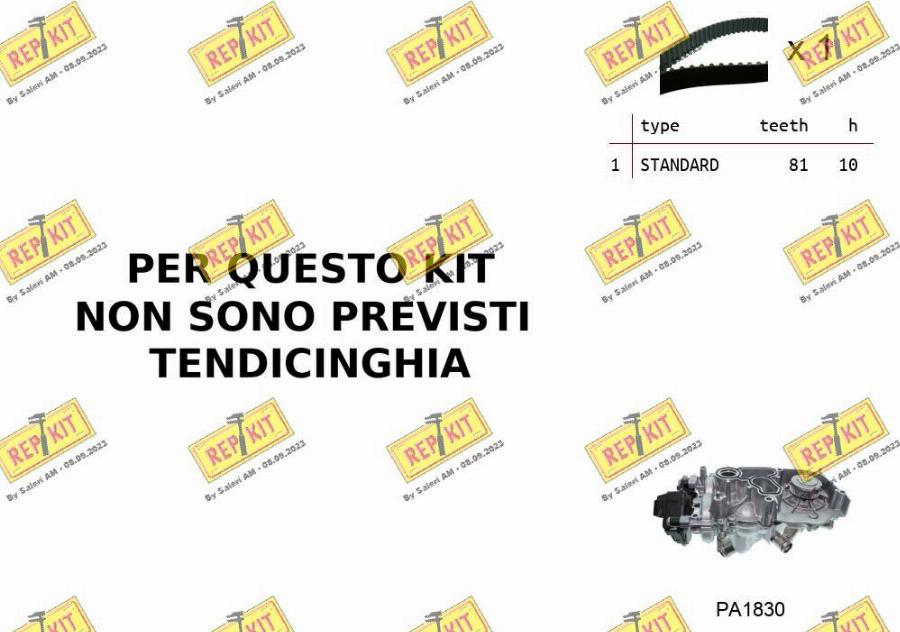 REPKIT RKTK0B06PA - Water Pump & Timing Belt Set car-mod.net