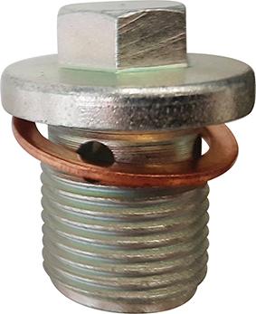 Restagraf 221499 - Sealing Plug, oil sump car-mod.net