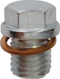 Restagraf 221489 - Sealing Plug, oil sump car-mod.net