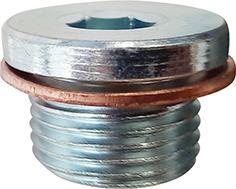 Restagraf 221510 - Sealing Plug, oil sump car-mod.net