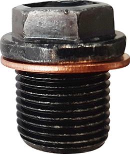 Restagraf 221512 - Sealing Plug, oil sump car-mod.net