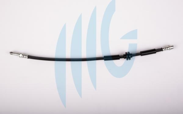 RICAMBIFLEX GM 02020119 - Brake Hose car-mod.net