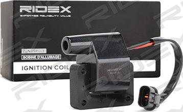 RIDEX 689C0139 - Ignition Coil car-mod.net