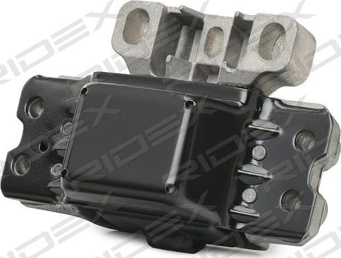 RIDEX 249M0002 - Mounting, manual transmission car-mod.net